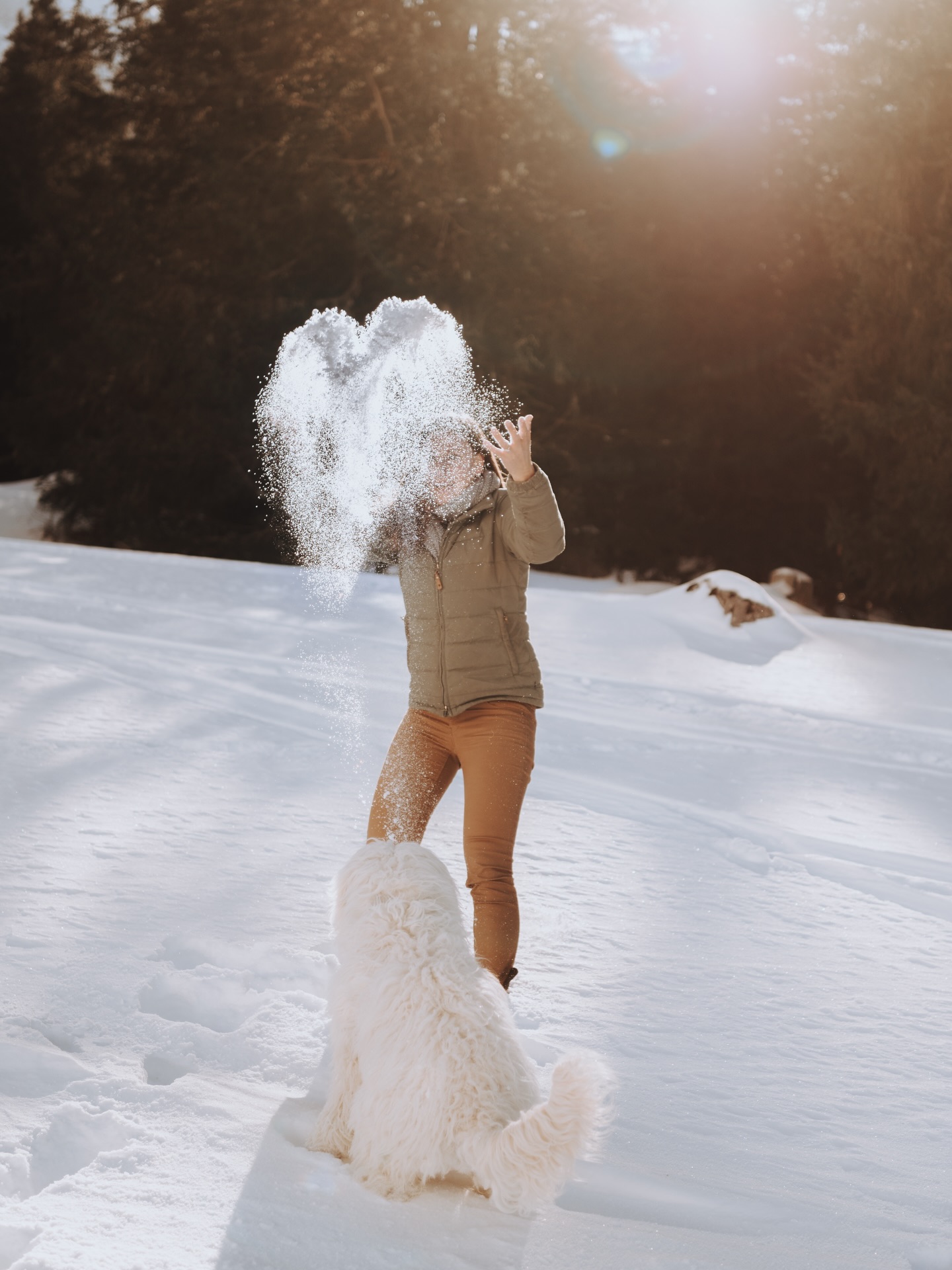 Eines meiner Lieblingsbilder. 🤎
Und nein… das Herz ist echt.

Manche Momente lassen sich nicht planen.
Kein Setup. Kein Nachdenken.
Einfach Schnee, Licht, Bewegung… und genau im richtigen Augenblick passiert Magie.

Vielleicht ist genau das der Grund, warum ich Fotografie so liebe.
Weil die schönsten Dinge entstehen, wenn man sie nicht erzwingt. 🤎